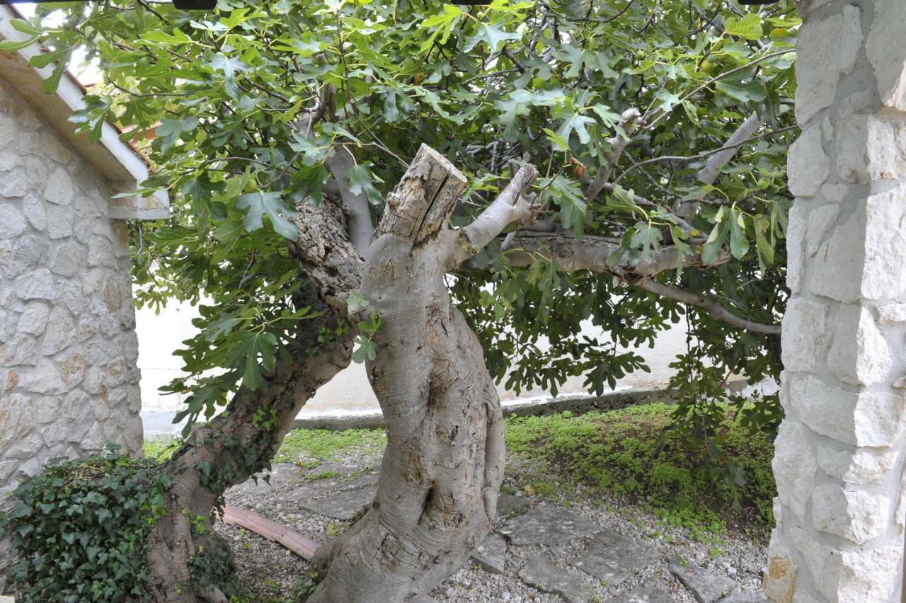 Grandpa Mate House Villa Dragove Ngoại thất bức ảnh